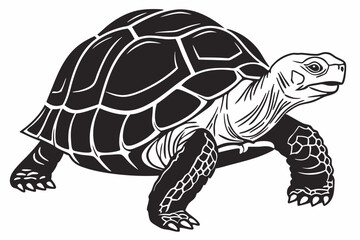 Fototapeta premium aldabra tortoise sihouette black vector