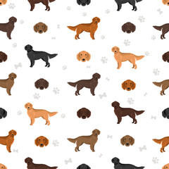 Flat coated retriever clipart. Different poses, coat colors set.  Vector illustration