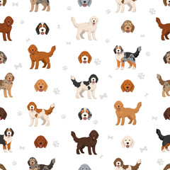 Goldendoodle clipart. Golden retriever Poodle mix. Different coat colors set.  Vector illustration
