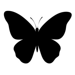 Butterfly silhouettes on white background