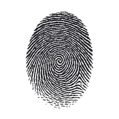 Close-Up View of Unique Fingerprint Pattern Showing Intricate Swirls and Lines of a Human Fingerprint