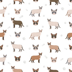 Snowshoe Cat clipart. All coat colors set.  All cat breeds characteristics infographic. Vector illustration