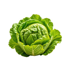 Obraz premium Fresh Green Cabbage Head with Crisp Leaves Isolated on White Background for Healthy Cooking and Nutrition