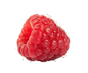 A close up shot of a single fresh raspberry on a black background for healthy eating concepts ideas