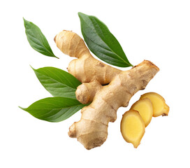 Fresh ginger root with green leaves for healthy eating and natural medicine on black background isolated