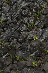 The stone wall of the old fortress of Gvara. The background is a stone wall