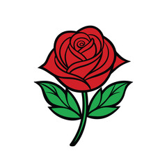 red rose isolated on white