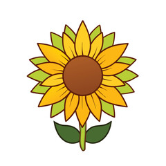 Fototapeta premium sunflower on white background