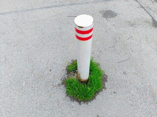 White and red pole on the road with green grass in the hole