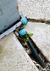 Broken pipe on the concrete floor with green plant in the hole