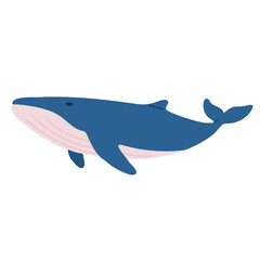 Vector illustration of a whale isolated on white background. Great for educational materials, children’s books, and kids’ projects.