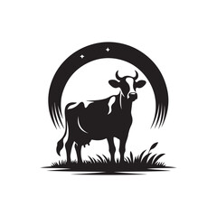 black and white goat