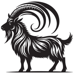 black and white goat