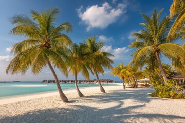 Tropical paradise beach with palm trees