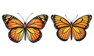 Realistic Monarch Butterfly Clipart - Beautiful Orange & Black Insect Illustration