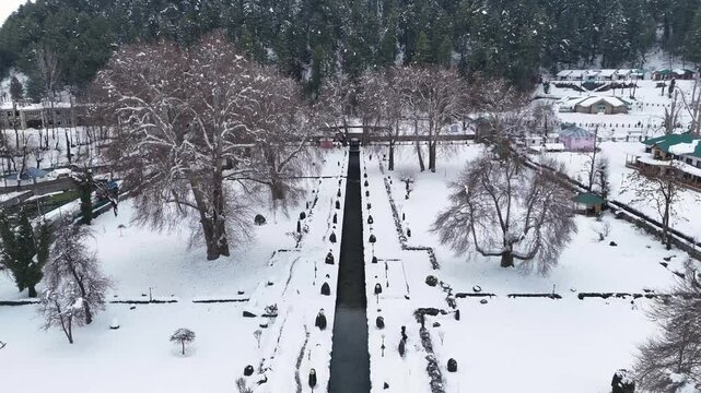 Drone footage highlighting the minimalist beauty of leafless trees and gently flowing spring waters in Verinag Park
