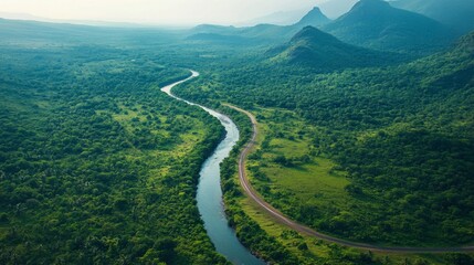 Lush Green Forest and River in Daytime Aerial Shot Underneath a Blue Sky