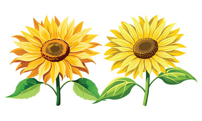 Bright Yellow Sunflower Clipart - Beautiful Summer Floral Illustration with Green Leaves