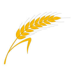 Wheat ear with gold grains and spikes. Golden spikelet with seeds from farm field for making white flour. Agriculture, bakery mascot, wheat crop cartoon vector illustration