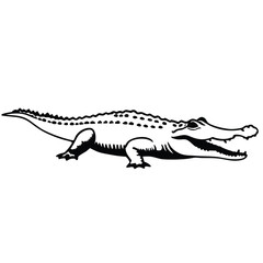 Naklejka premium A black and white depicts a detailed alligator with an open mouth, viewed sideways