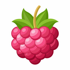 vector illustration of ripe raspberries