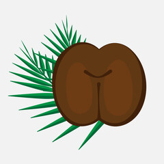 Rare Coco de Mer nut icon, sea coconut, coco de mer, or double coconut. Lodoicea fruit