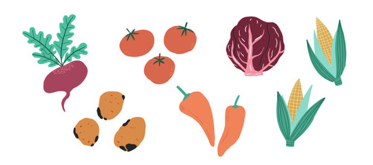 Set of hand-drawn colorful vegetables isolated on white background. Organic farm products for healthy eating and vegetarian lifestyle