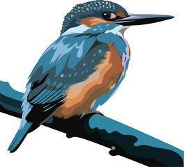 blue heron on branch