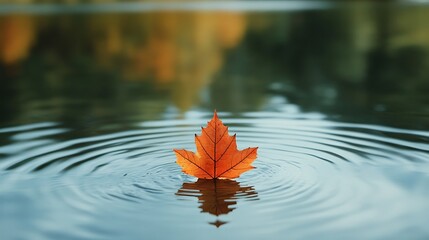 Autumnal Equinox Tranquility Orange Maple Leaf Floating on Rippling Lake Water