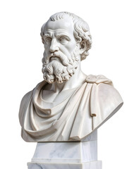 Bust of Greek Philosopher with Realistic Details white background