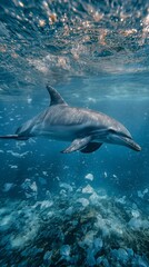 The graceful dance of a dolphin is a stark and tragic contrast to the plastic-filled water it calls home, highlighting the destruction plastic pollution causes in marine ecosystems.