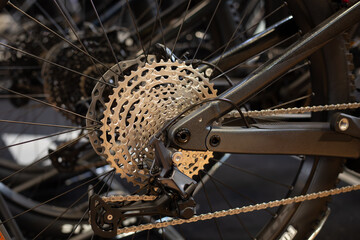 Fototapeta premium on rear transmission of bicycle. Racing bike cassette, precision internal thread cassette made of high-strength steel for cycling.E-bike gear.Bike parts detail.n