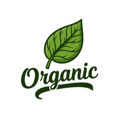 Organic leaf logo design with green colors and modern style  