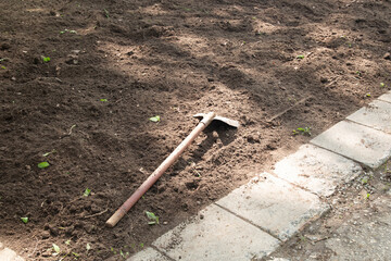 Tillage of the soil. Preparing the ground for planting.