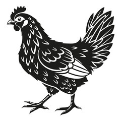 Detailed chicken strides forward confidently, its black silhouette showing patterned feathers and distinct characteristics