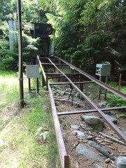 Fototapeta premium railway in the forest