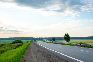 Beautiful road and fields green and yellow