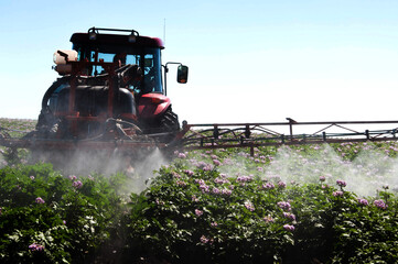 Fototapeta premium tractor working in the field