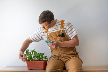 Gardener using a smartphone app to monitor the growth and health of a basil plant, showcasing the...