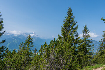 Hiking above the clouds on Wankberg, Germany—panoramic views of snow-capped Alps and lush valleys under a bright blue sky.