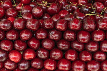 Fresh cherries piled high showcasing the bounty of summer harvest. Glossy red cherries arranged in abundance at a local market. Juicy cherries symbolizing the sweetness and richness of life.