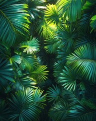 Lush tropical foliage