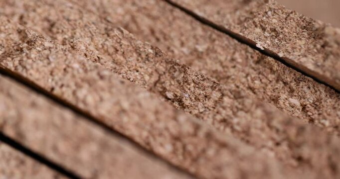 cork wood, for industry and household needs, is a natural soft and durable material that is obtained from the bark of a cork tree close up