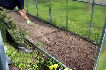 An elderly farmer in boots and gloves levels the soil with a rake after weeding a bed in a greenhouse. Agriculture, preparing the soil for planting plants - horizontal photo