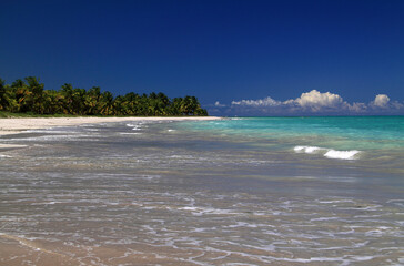 Brazil, Alagoas State, Maceio. Deserted exotic tropical palm lined beach with turquoise Atlantic Ocean
