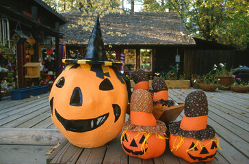 Some cute halloween pumpkins in autumn park