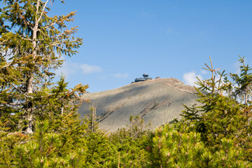 Sniezka Peak Framed by Pine Trees - Karkonosze National Park