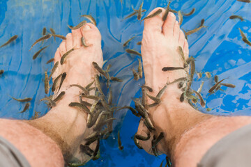 Feet submerged in clear water surrounded by small fish