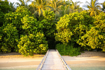 Jetty on the Beach in the Maldives