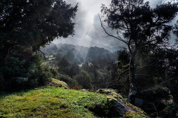 Niebla en la Sierra de Gredos